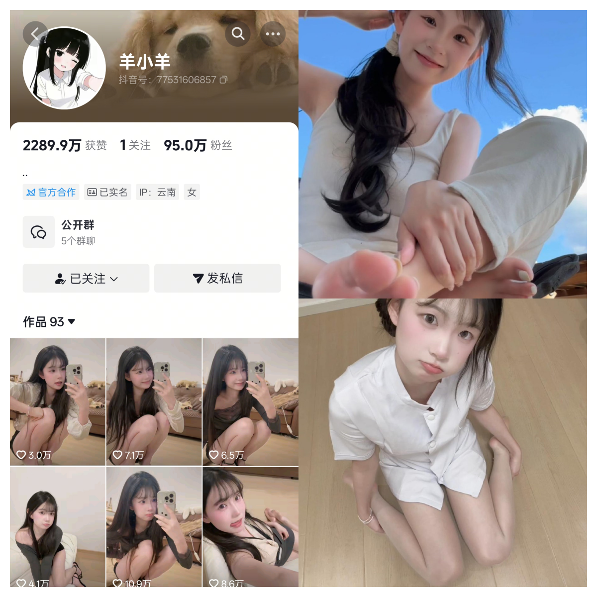 羊小羊合集